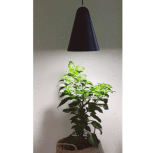 Plantespire pendel m. 5000-6500K hvidt LED lys