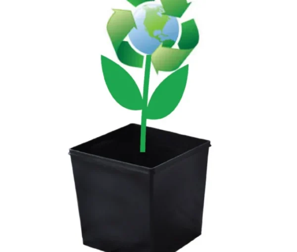 ABC Plant Growers