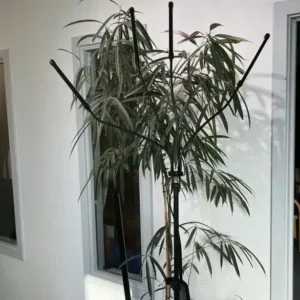 Ståenede 4 armet grolys lampe