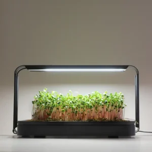 Microgreen Garden – Startsæt til dyrkning af mikrogrønt